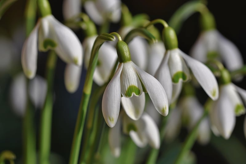 Seasonal Gardening